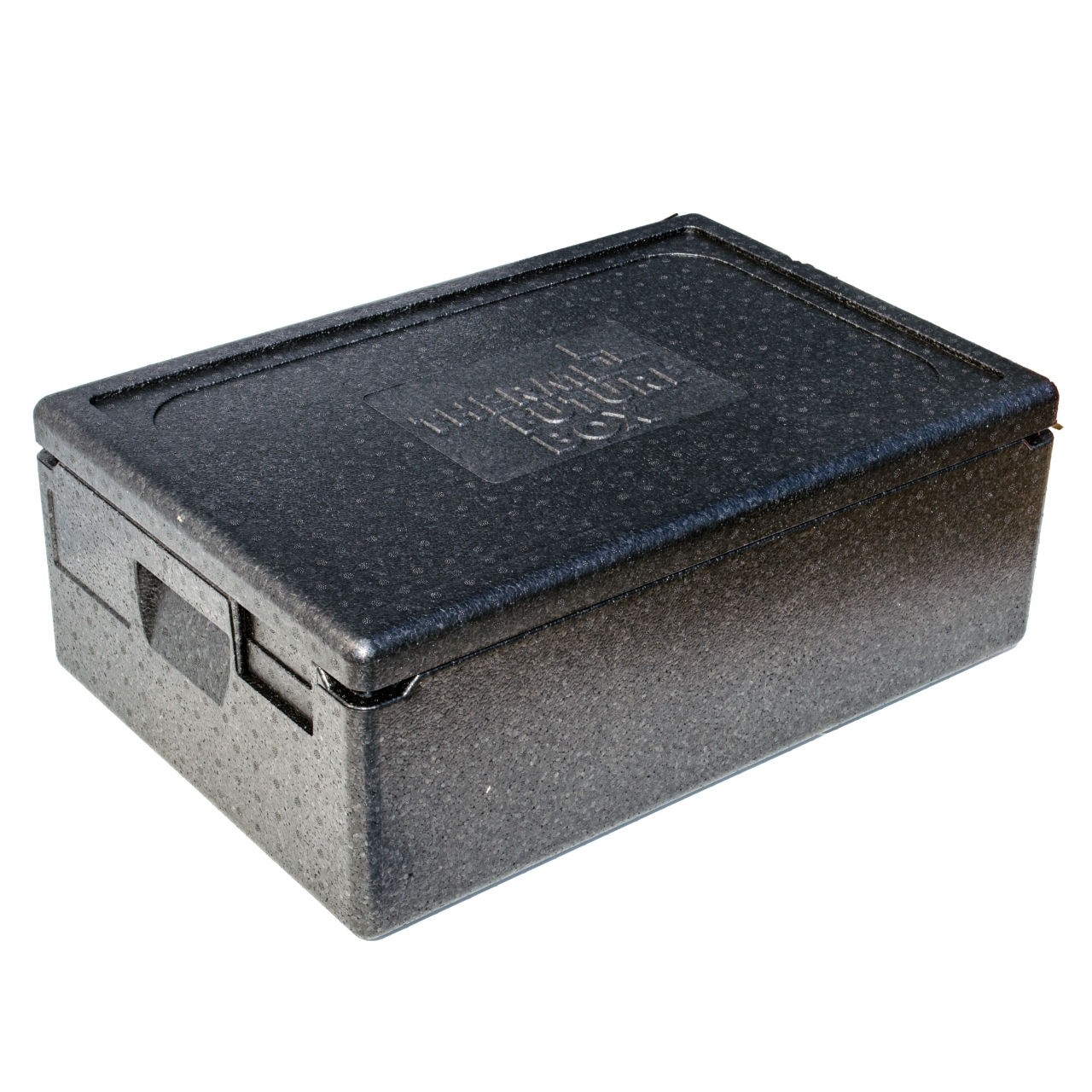 Thermo Box, schwarz, 10033, Innen: 538 x 337 x 167 mm, Allround 30 l